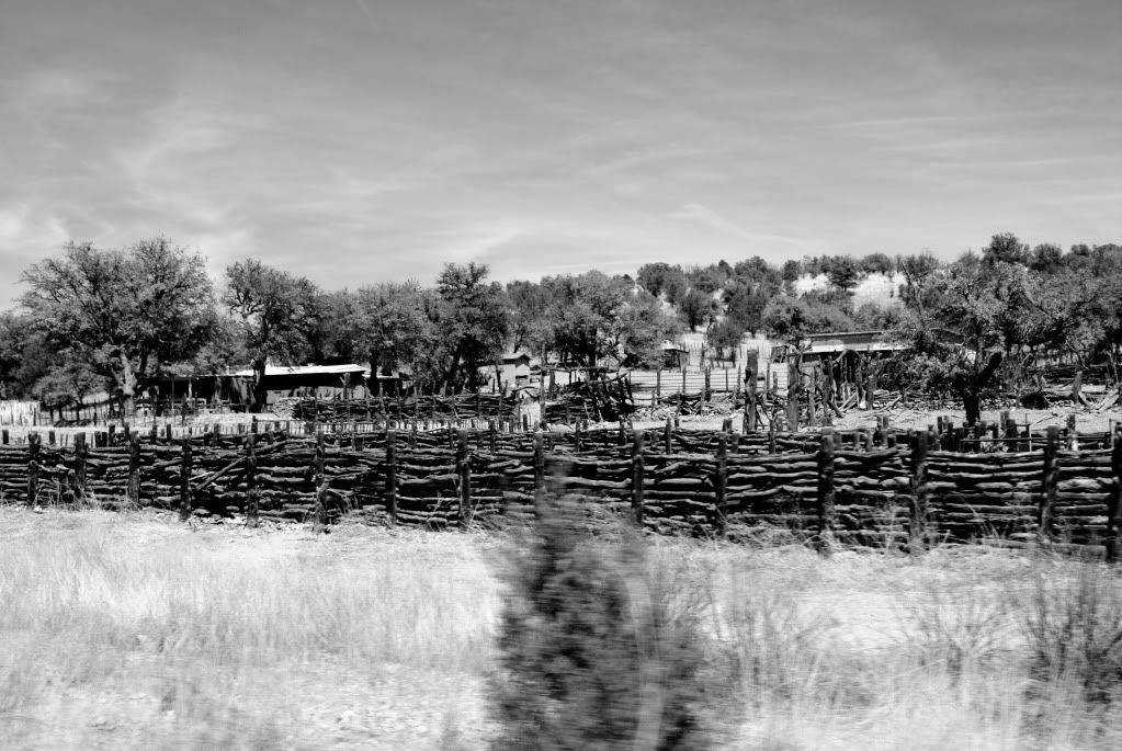 AmadoTrip1093bw.jpg