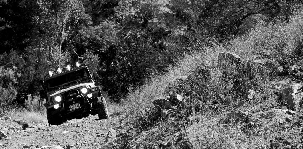 AmadoTrip1285bw.jpg