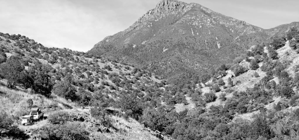 AmadoTrip1324bw.jpg