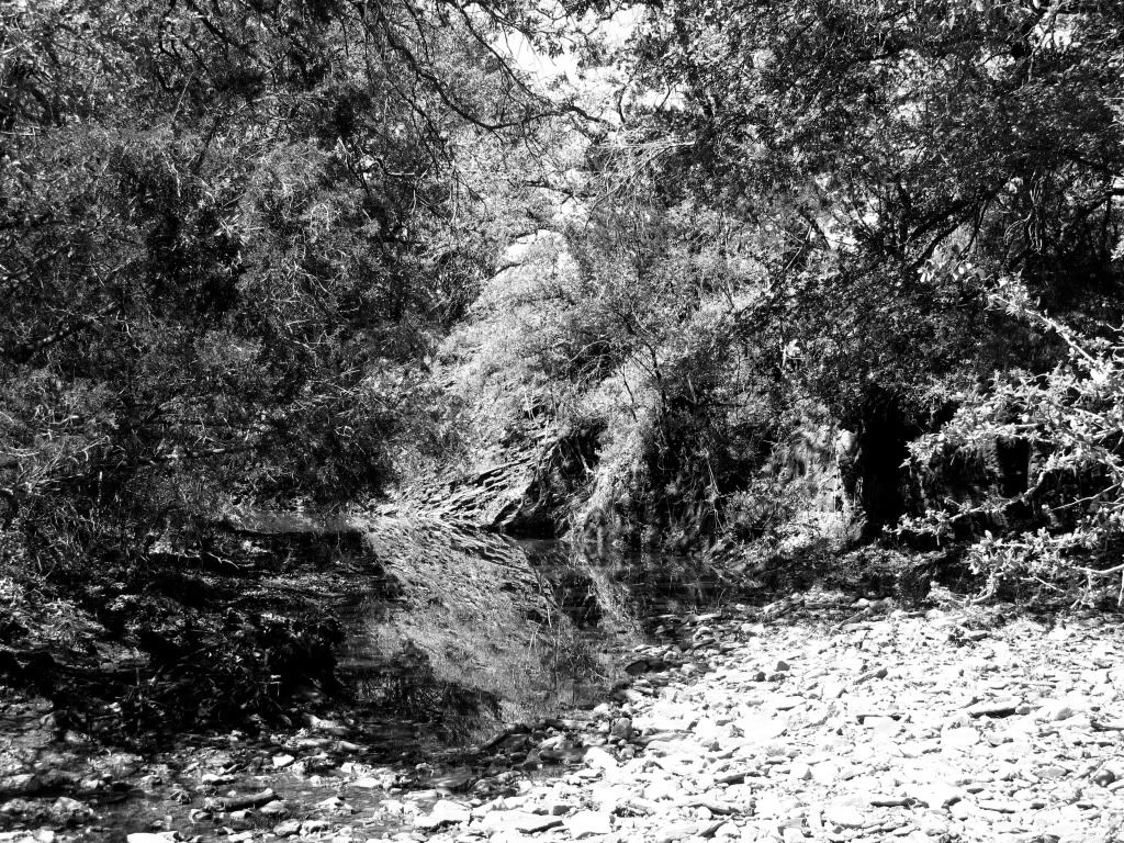 HillCountryTour3-2012028BW.jpg