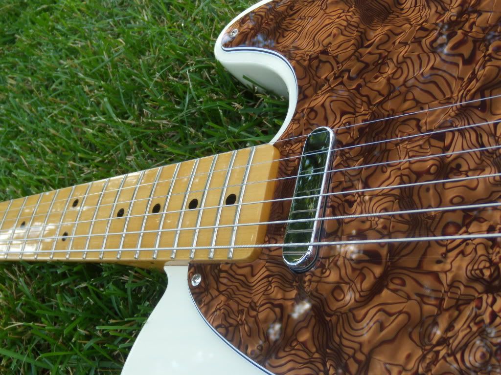 Brown Pickguard