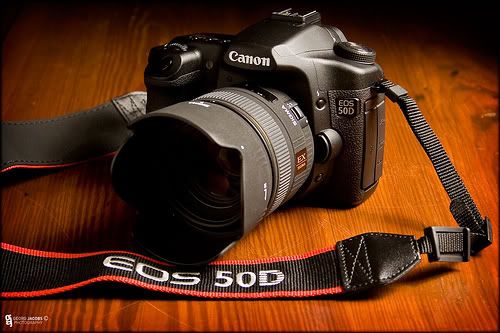 50d.jpg