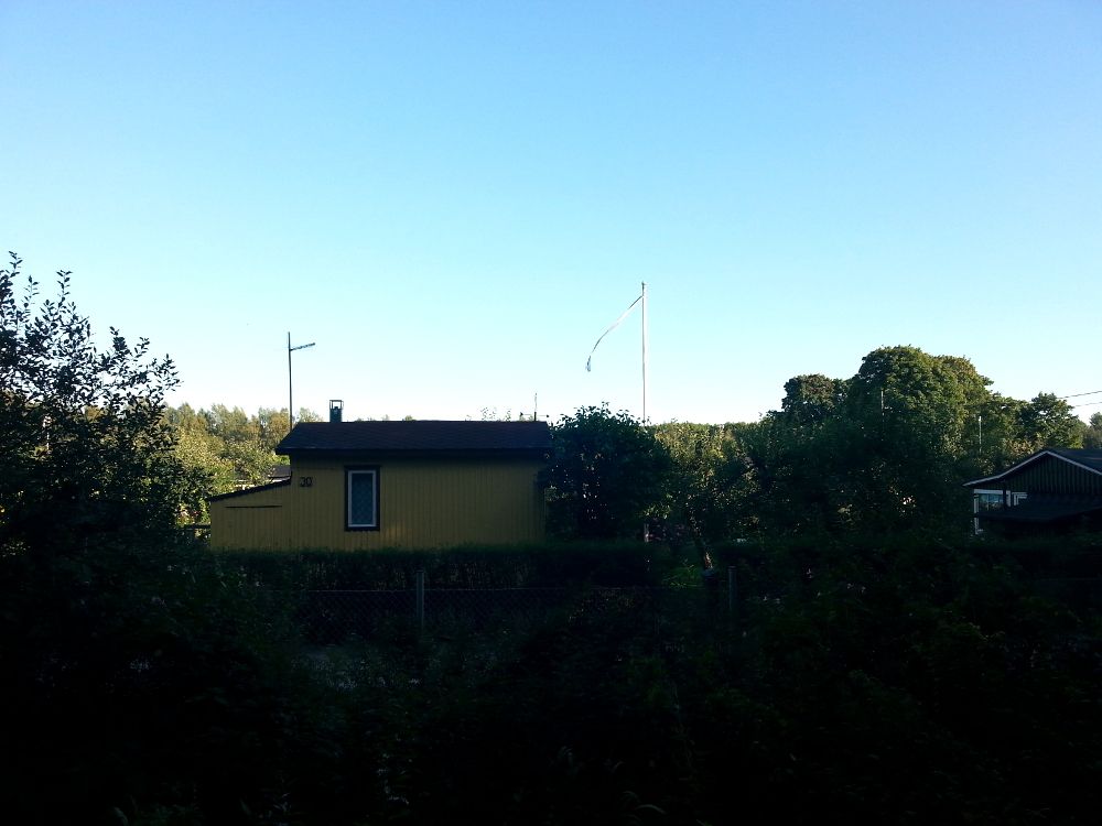 photo tali7.jpg