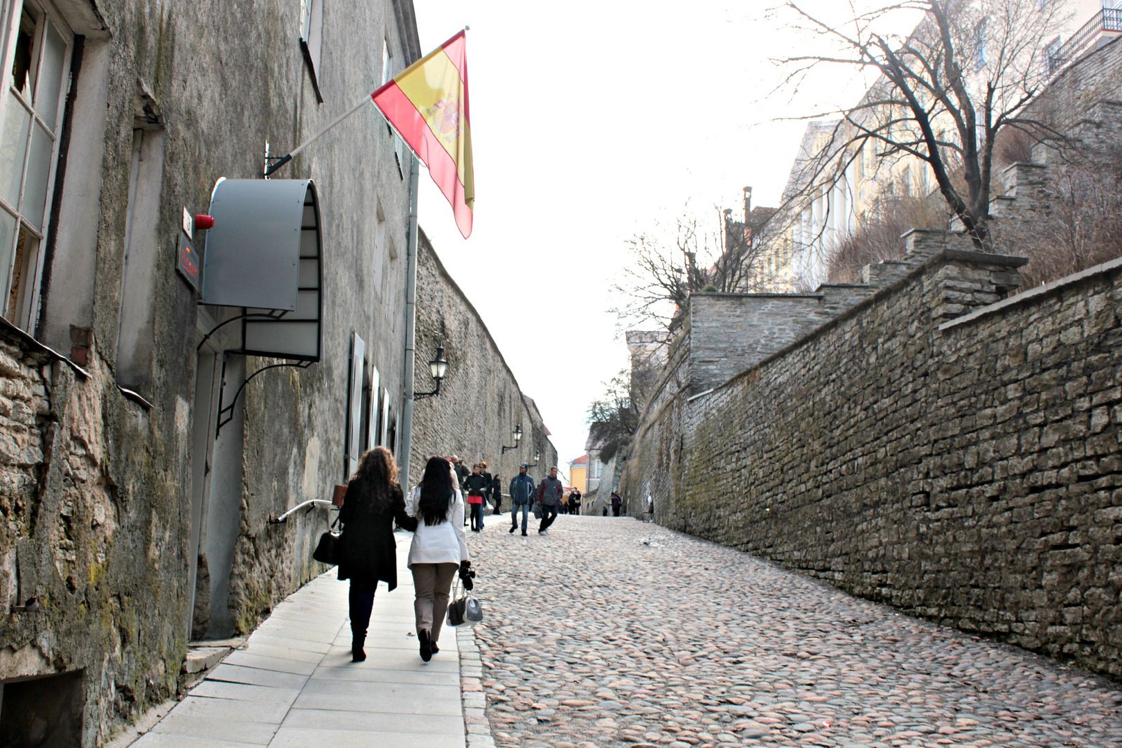 photo tallinna1.jpg