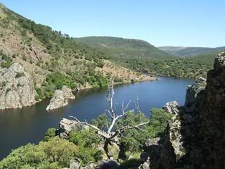 Descubriendo el norte de Extremadura - Blogs de España - Monfragüe y el Monasterio de Yuste (5)