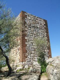 Descubriendo el norte de Extremadura - Blogs de España - Monfragüe y el Monasterio de Yuste (8)