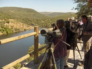 Descubriendo el norte de Extremadura - Blogs de España - Monfragüe y el Monasterio de Yuste (6)