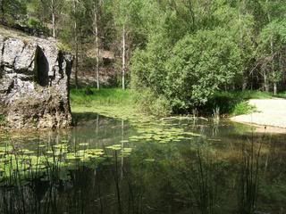 Camino Soria - Blogs de España - Cañón del Río Lobos, Berlanga de Duero y El Burgo de Osma (6)