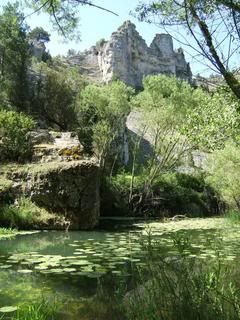 Camino Soria - Blogs de España - Cañón del Río Lobos, Berlanga de Duero y El Burgo de Osma (5)