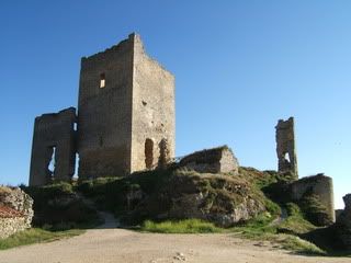 Camino Soria - Blogs de España - Soria, Numancia, La Fuentona y Calatañazor (21)