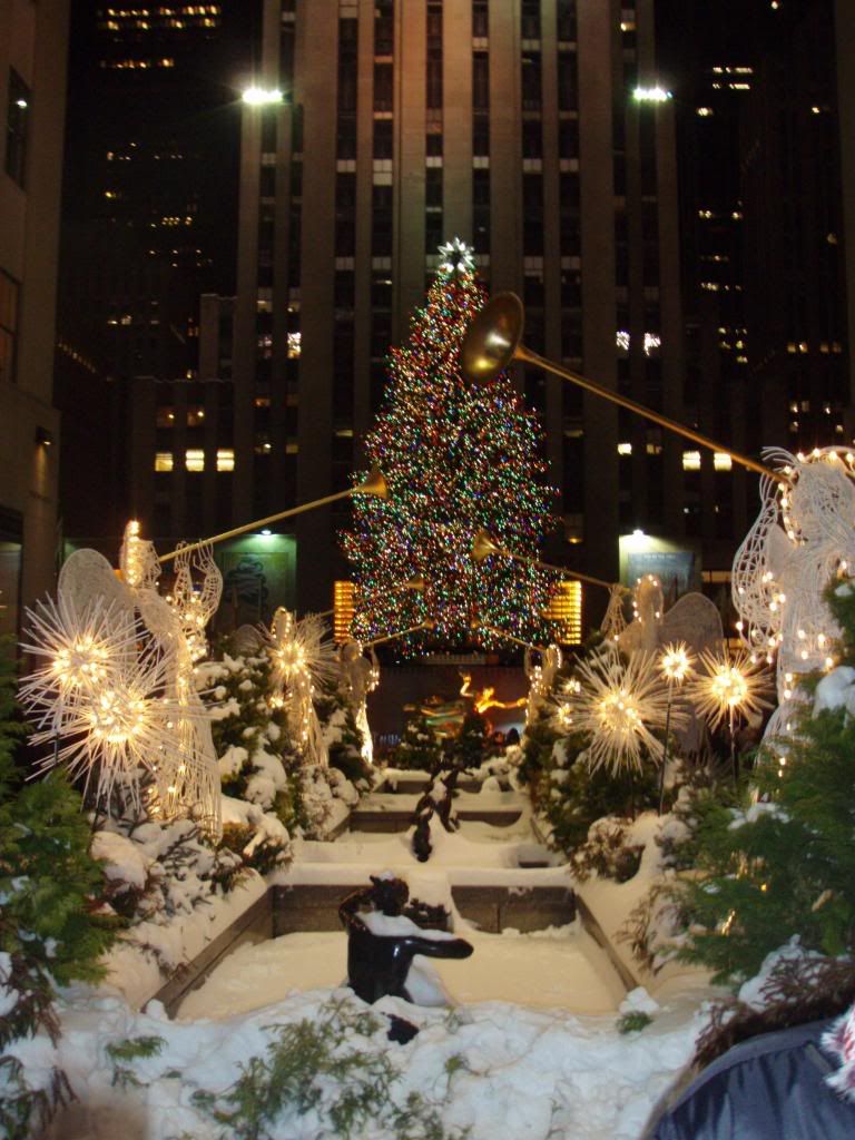 Tree at Rockafeller Center Pictures, Images and Photos