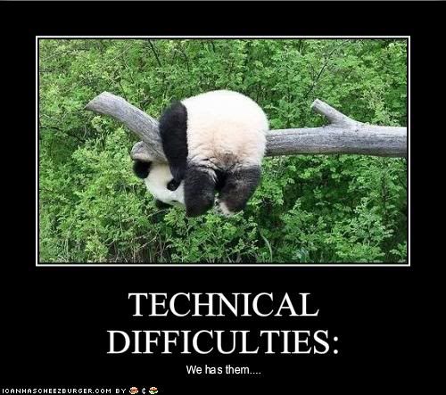 funny-pictures-panda-has-technical-difficulties1.jpg