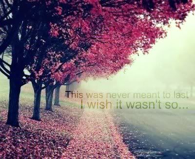 life quote Pictures, Images and Photos