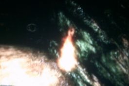 IPB Image