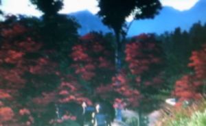 IPB Image