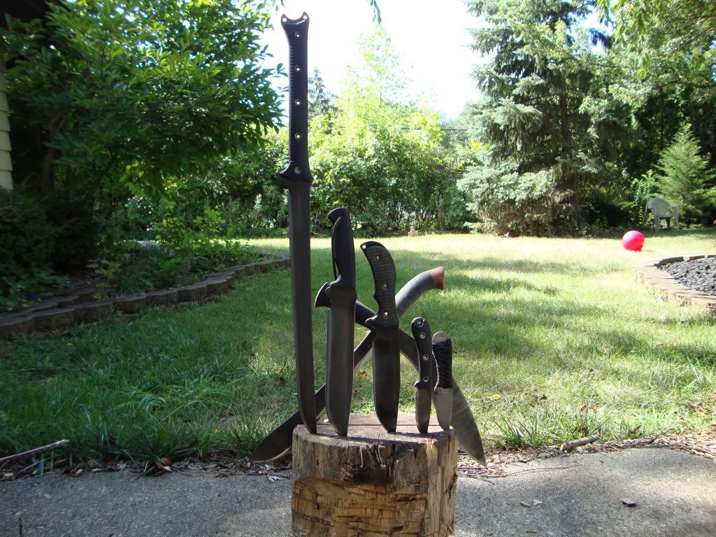 [Linked Image from i936.photobucket.com]