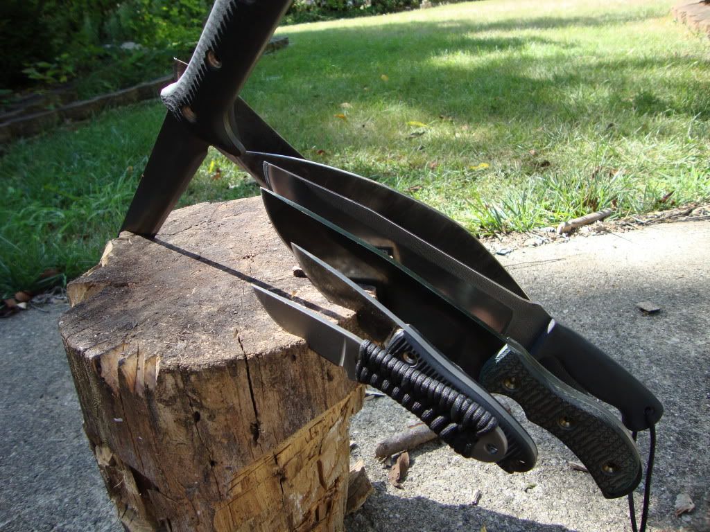 [Linked Image from i936.photobucket.com]