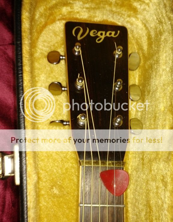 vega guitar serial numbers